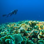 Taman Nasional Bunaken