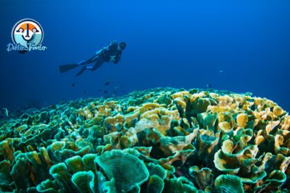 Taman Nasional Bunaken