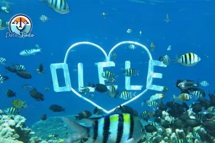 Taman Laut Olele Gorontalo