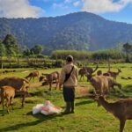 Kampung Cai Ranca Upas Bandung