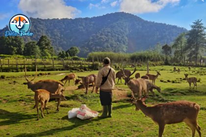 Kampung Cai Ranca Upas Bandung