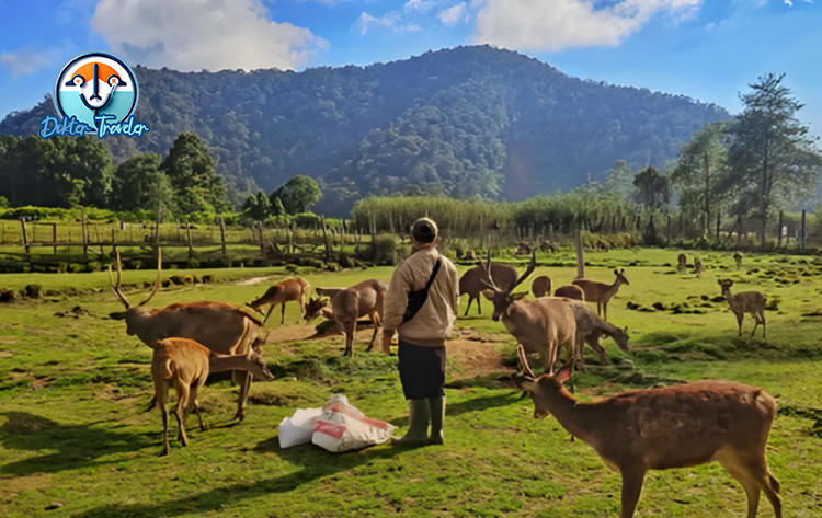 Kampung Cai Ranca Upas Bandung