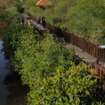 Ekowisata Mangrove Surabaya