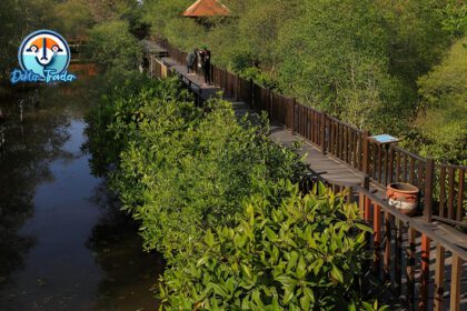Ekowisata Mangrove Surabaya