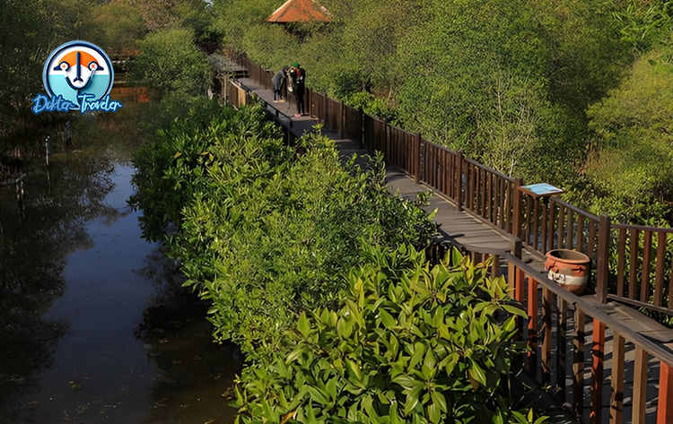 Ekowisata Mangrove Surabaya