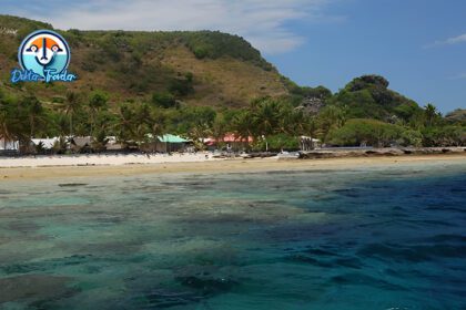 Pulau Dawelor Dawera