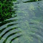 Bendungan Margotirto Lampung