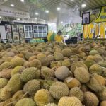 Ucok Durian Medan