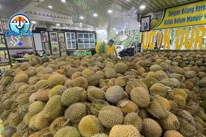 Ucok Durian Medan