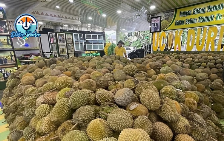 Ucok Durian Medan