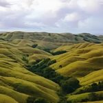 Bukit Wairinding NTT