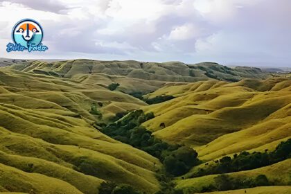 Bukit Wairinding NTT