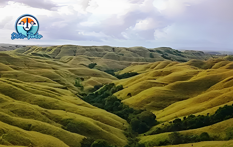 Bukit Wairinding NTT