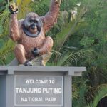 Taman Nasional Tanjung Puting