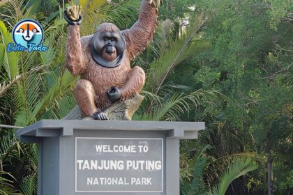 Taman Nasional Tanjung Puting
