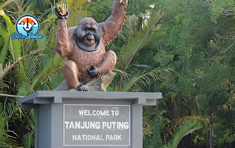Taman Nasional Tanjung Puting