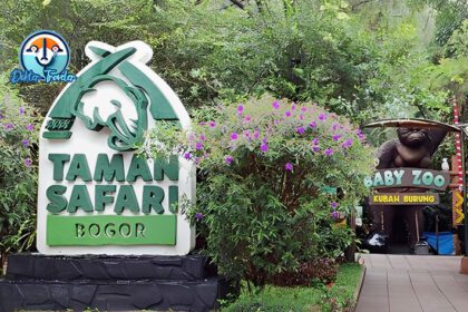 Taman Safari Bogor