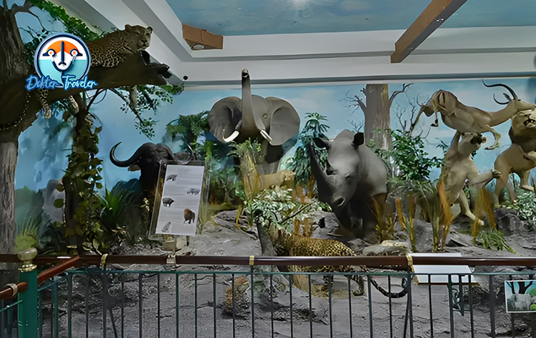 Rahmat International Wildlife Museum & Gallery