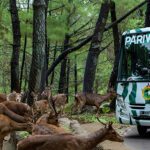 The Grand Taman Safari Prigen