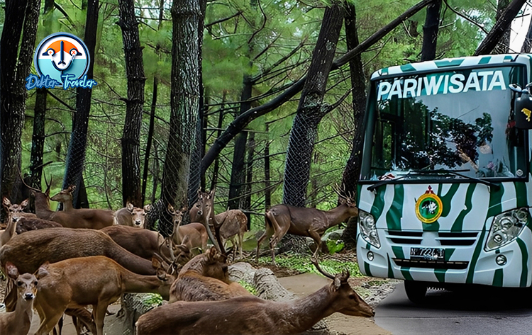 The Grand Taman Safari Prigen