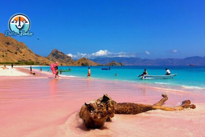 Pantai Merah Muda NTT