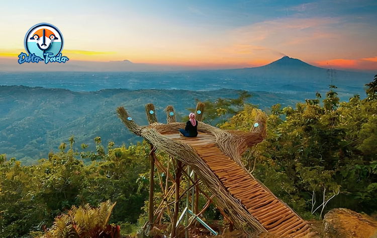 Hutan Pinus Pengger