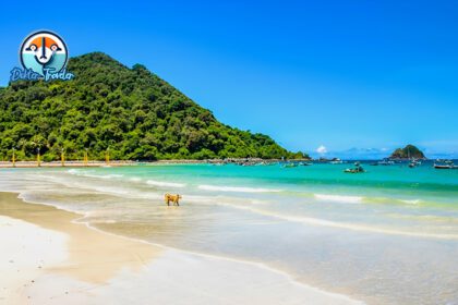 Pantai Selong Belanak Lombok