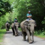 Taman Nasional Way Kambas