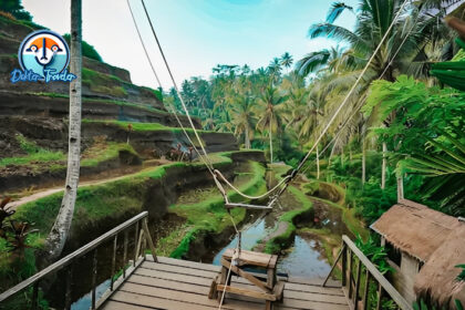 Tegallalang Rice Terrace