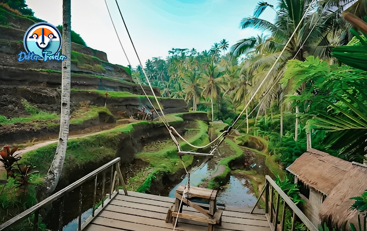 Tegallalang Rice Terrace