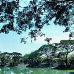 Kebun Bibit Wonorejo Surabaya