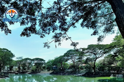 Kebun Bibit Wonorejo Surabaya