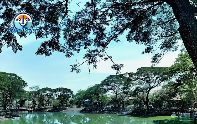 Kebun Bibit Wonorejo Surabaya