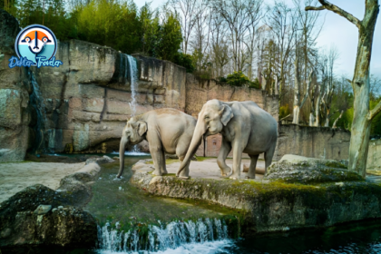 Lombok Wildlife Park