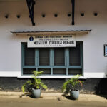 Museum Zoologi