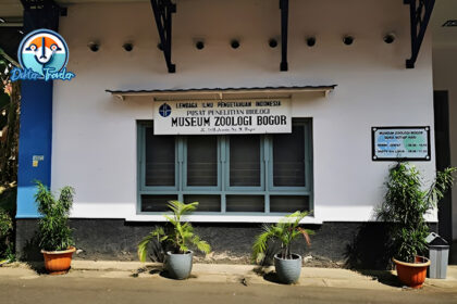 Museum Zoologi