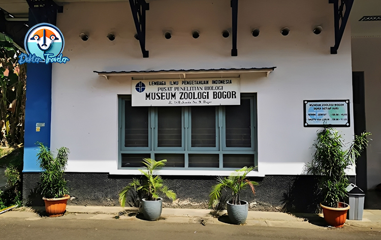 Museum Zoologi