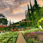 Taman Rekreasi Selecta