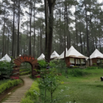 Terminal Wisata Grafika Cikole