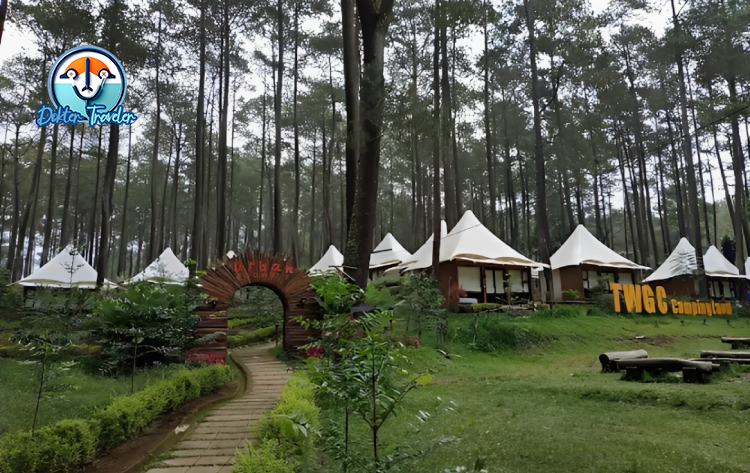 Terminal Wisata Grafika Cikole